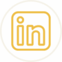 icon-linkedin